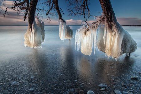 Необычная природа