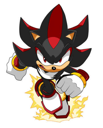 Ёж Шедоу и Соник