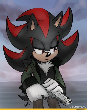 Соник Ежик и Шедоу