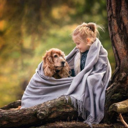 Доброта к животным