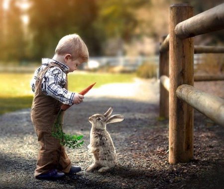 Для детей. Животные