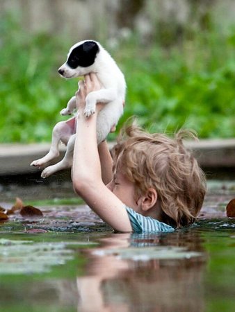 Добрые поступки