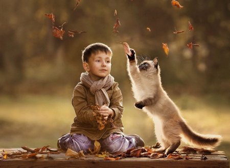 Осень дети и животные