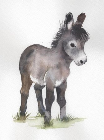 Ослик ослик Дювуазен