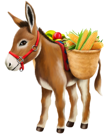 Осел для детей