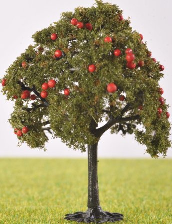 Ред Херии плодовое дерево