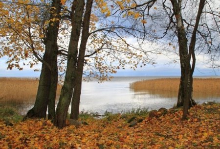 Природа в конце октября