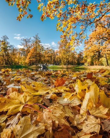 Октябрь природа