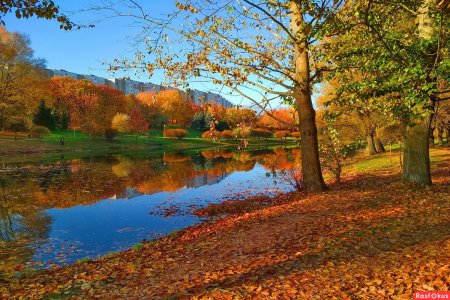 Октябрь природа