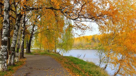 Октябрь природа