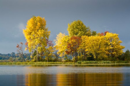 Октябрь природа