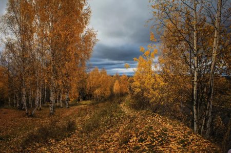 Осень октябрь