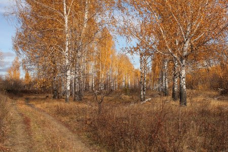 Середина осени