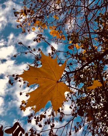 Октябрь природа