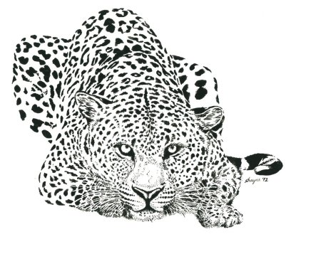 Черно белое изображение