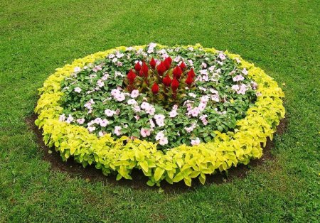 Дизайнерские клумбы