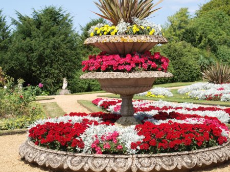 Моноклумба клумба