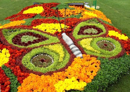 Ковровые цветники