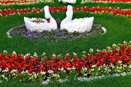 Клумба с цветами