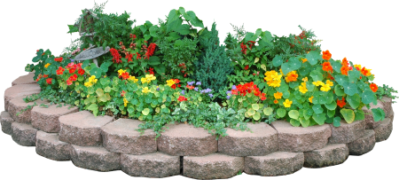 Клумба вид сбоку