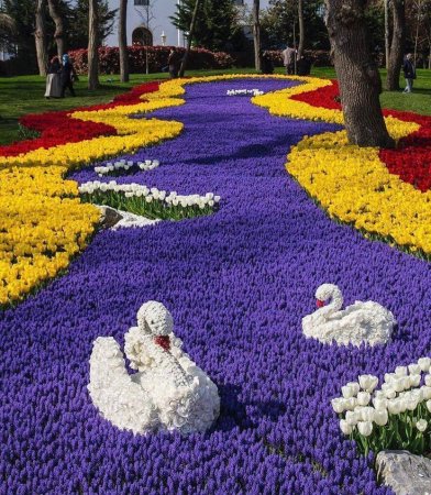 Фигуры из цветов