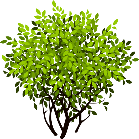 Куст вектор