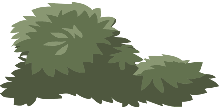 Куст иллюстрация