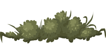 Кусты в иллюстраторе