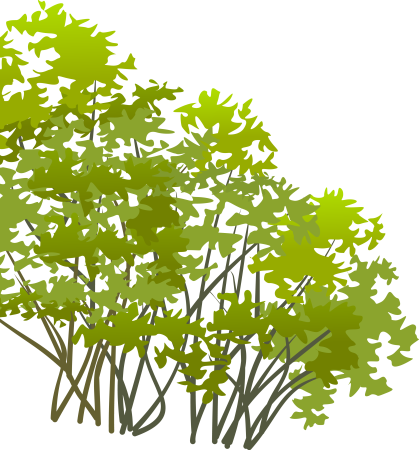 Векторные кусты