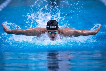 Пловцы в Arena