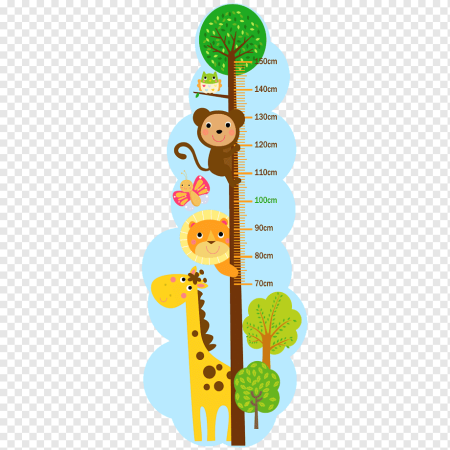 Ростомер для детей