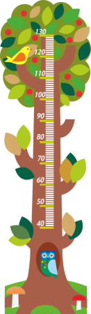 Ростомер детский