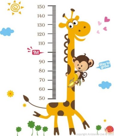 Ростомер для детей до года