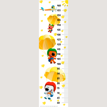 Ростомер Лиза Госреестр