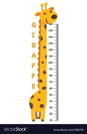 Ростомер 170-190