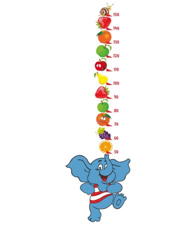 Ростомер в ДОУ