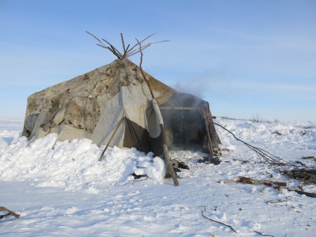Чукчи жилище яранга