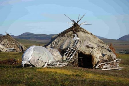 Яранга – жилище кочевников-оленеводов Чукотки.