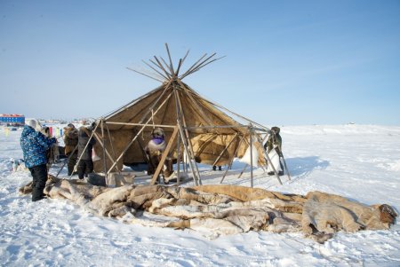 Яранга традиционное жилище чукчей