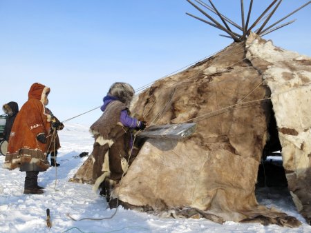 Чукчи жилище яранга