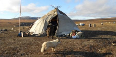 Чукотка эвены яранга