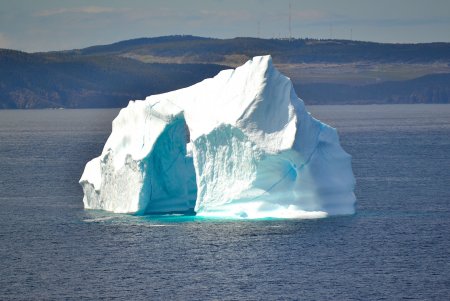 Шельфовые ледники Антарктиды