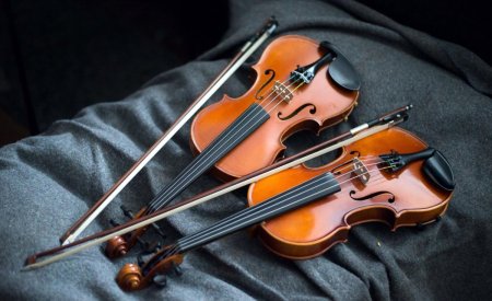 Смычок струнные смычковые музыкальные инструменты