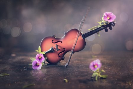 Музыкальные инструменты и цветы