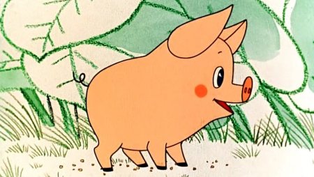 Свинка Чуня мультфильм