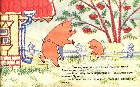 Чуня книга