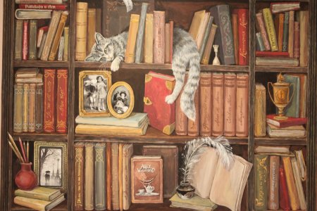 Обои книжные полки