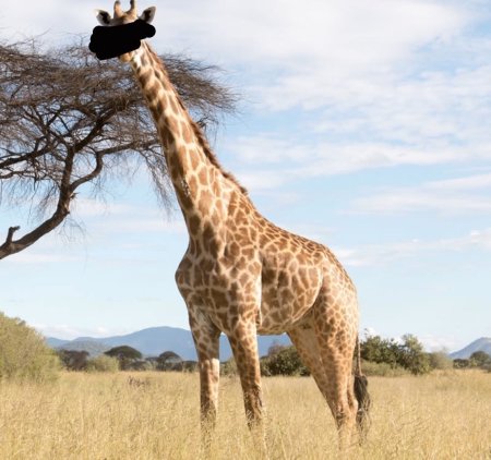 Родезийский Жираф