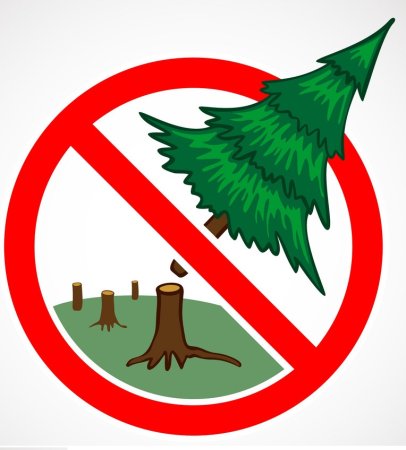 Против вырубки леса