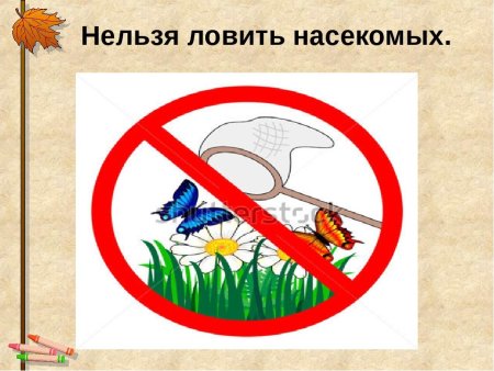 Экологический знак природы